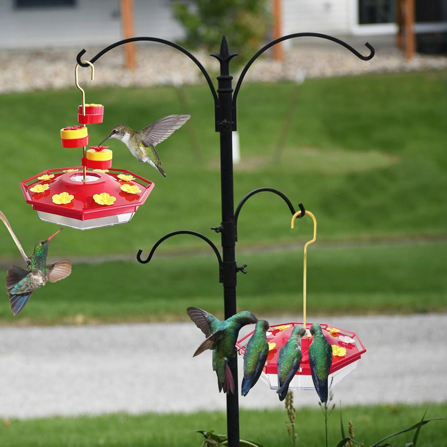 Sweety Hummingbird Feeder - Libiyi