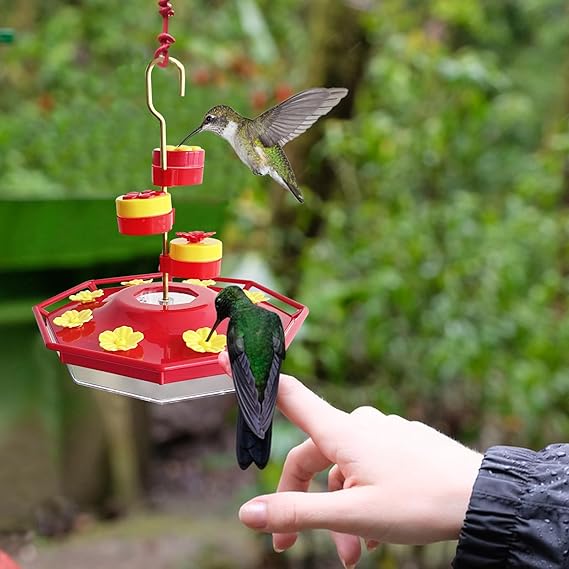 Sweety Hummingbird Feeder - Libiyi