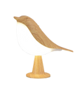 Maple