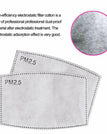 Extra PM2.5filter(1Pack)