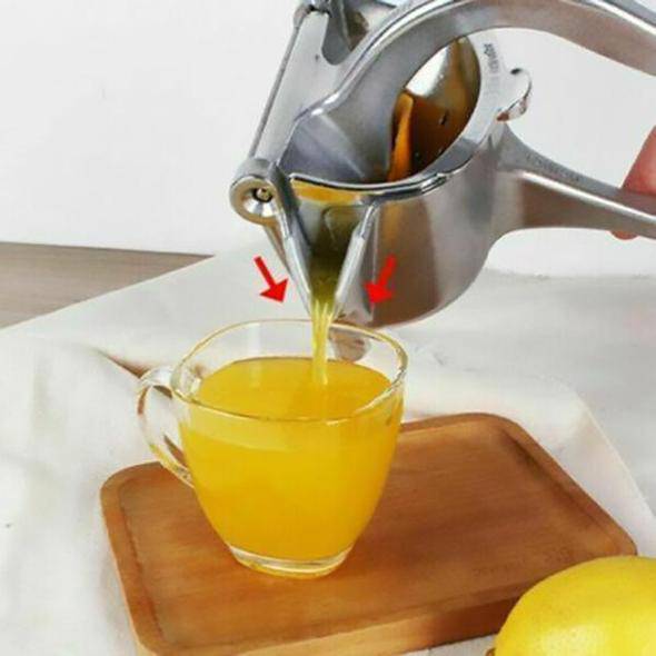 Stainless Steel Juicer - Libiyi