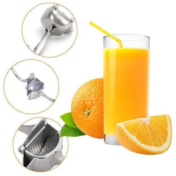 Stainless Steel Juicer - Libiyi